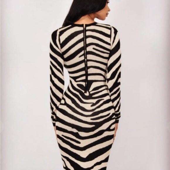 Cameo| Zebra print Sweater Dress - Picture 4 of 4